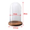 RayinblueTransparent Glass Plant Display Cloche Bell Jar Dome With Bamboo