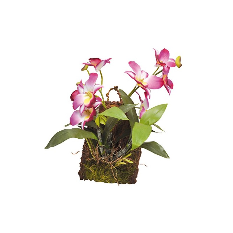 Lucky Reptile IF-18 Hanging Orchid, Purple