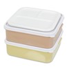 Sako Plastic Rio Pack Bento Lunch Box, Family Size