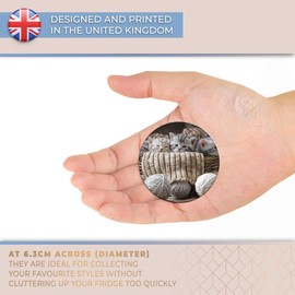 Destination Vinyl ltd Magnet for Refrigerator, Fridge - Adorable Cute Kittens Cat Cats for Office, Cabinet and Whiteboard, Magnetic Stickers, 8855