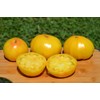 Huge Lemon Oxheart Tomato Seeds