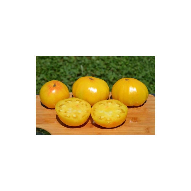 Huge Lemon Oxheart Tomato Seeds