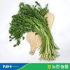 푸른들 산지직송 세척 미나리 200g x 5팩 / 총1kg Freshly Delivered Cleaned Minari 200g x 5 Packs / Total 1kg
