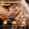 LUCKY HERP T8 15W UVB 10.0 Reptile Light, 18inch UVA