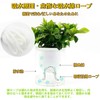 Watering Time Automatic Watering Cotton Rope, Hydroponic Cultivation, Planter, Vacation,