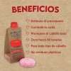 Shampoo Orgánico Sólido Anticaída Árbol Verde Con Romero Y Sábila