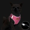 Aiminto Denim Dog Harness & Leash Set, Breathable Mesh, Lightweight,