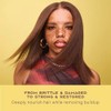 SHEA MOISTURE - Champú fortalecedor y restaurador de aceite de