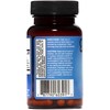 ElevenZyme - Natural Digestive Enzyme Supplement - Non-GMO, Vegan