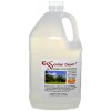 Essential Depot Glycerin Vegetable - 1 Gallon (10.75 lbs /