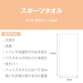 Marushin Champion 5065021100 Sports Towel, Champion Logo Colors, Gray, 100% Cotton, Antibacterial, Odor Resistant