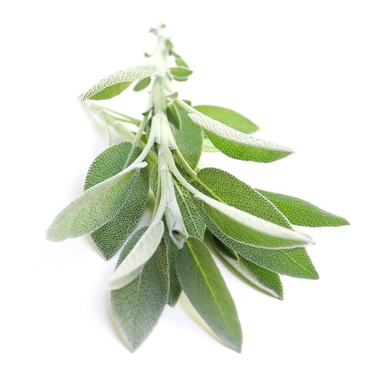 Tetesept bath concentrate.