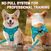 Dog Harness Step in Dog Vest Harness, Reflective Adjustable Puppy