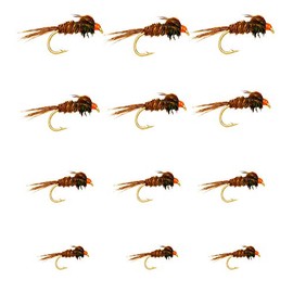 Outdoor Planet 12 Pheasant Tail Nymph Wet Fly Fishing Flies Lure Assotment for Trout Fishing