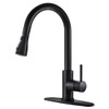 Black Kitchen Faucets with Pull Down Sprayer Kitchen Sink Faucet