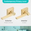 EHOMEWARE 6 Pack Door Handles, Satin Brass Door Knobs Privacy