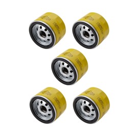 Briggs & Stratton Genuine OEM 696854 Oil Filter 5P 79589 92134GS 695396 Extended