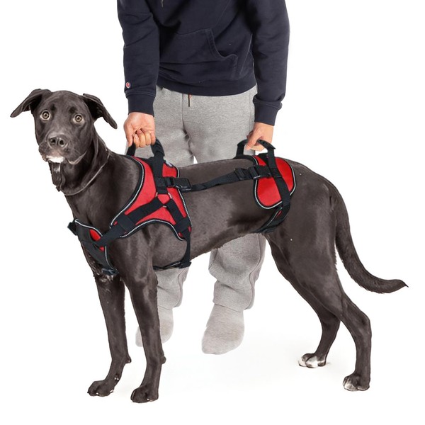 Doggie Stylz Multi-Functional Full-Body Lifting Dog Harness Vest, Designed for