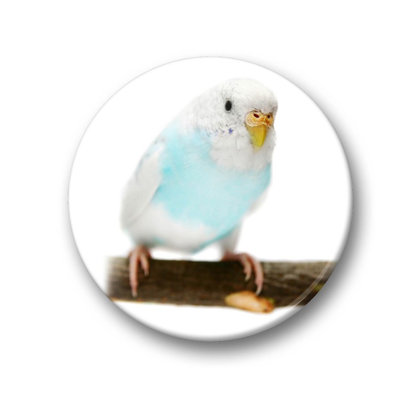 Merchandise for Fans Budgies Budgies Yellow / Blue / Green