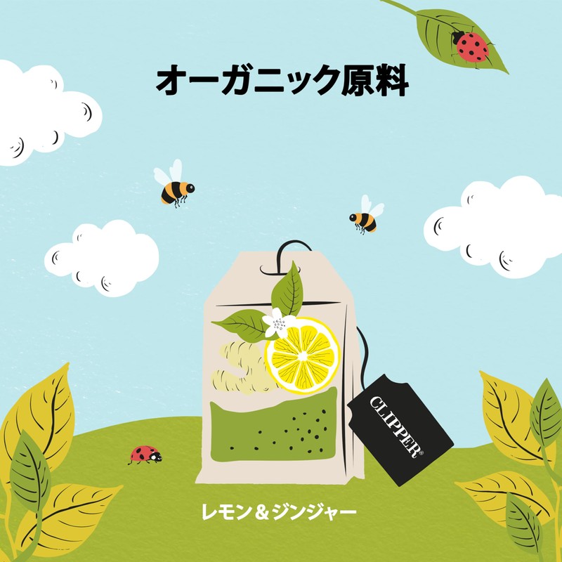 Clipper Tea Organic Lemon & Ginger 20 Tea Bags, Herbal