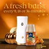 Glade Automatic Spray Refill, Pumpkin & Ginger, Scented Air Freshener