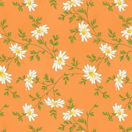 Fresh as a Daisy - Orange Miniature Daisies - Maywood Studio - MAS9644-O