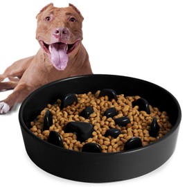HAOTOP Ceramic Fun Slow Feeder Bowl, Porcelain Slow Eater Bowl for Medium Sized Dogs (Black)