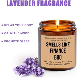 Smells Like Finance Bro Candle - Funny Gift for Finance Worker - Finance Husband Boyfriend Gift Candle - Aromatherapy Glass Candle Jar - Non-Toxic Ingredients