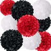 24 Pieces Tissue Paper Pom Poms Flower Ball 8 Inch