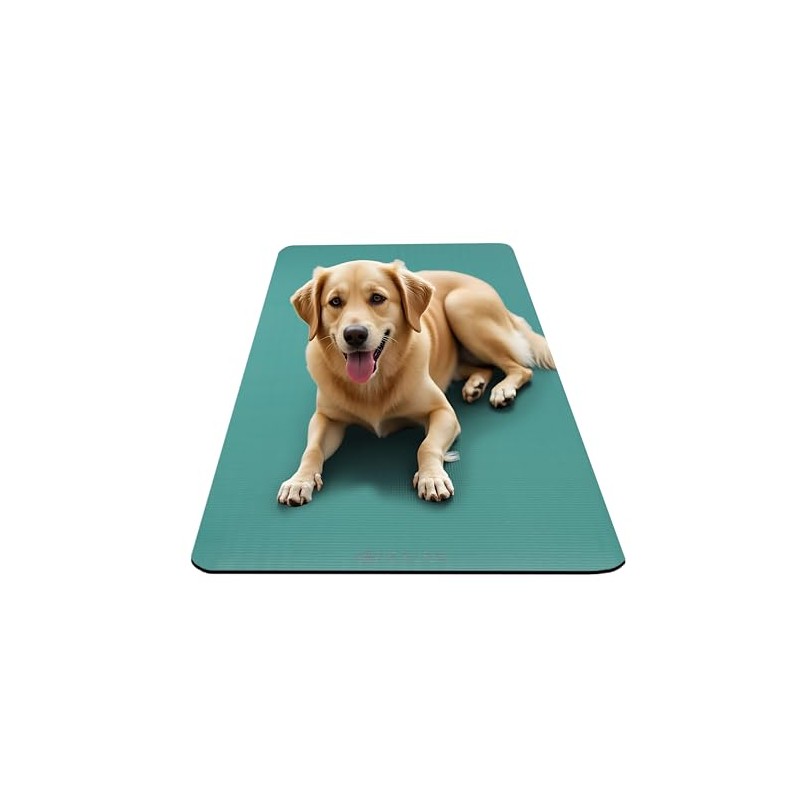 Gaiam Essentials Thick Yoga Mat Fitness & Exercise Mat With