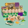 Dinosaur Egg Excavation Kit Jumbo Egg Unearth 14 Different Dinosaurs
