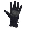 Dublin Polar Fleece Gloves
