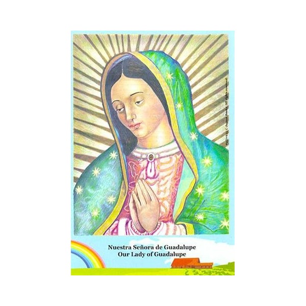 Set of Six Our Lady of Guadalupe Postcards - Set de 6 Postales de la Virgen de Guadalupe