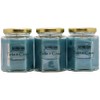 3 Pack - Turks & Caicos Scented Candles- Tropical Fruit