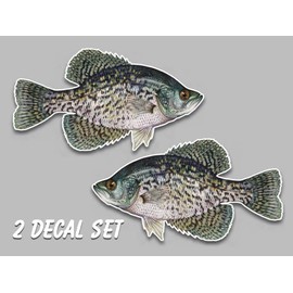 Black crappie fish vinyl decals 5.5" x 10" set of 2 right left facing sticker fishing freshwater for truck car SUV window glass