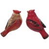 Cardinal Male and Female Salt and Pepper Shaker Set