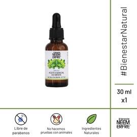 Bienestar NEEM ERFRE Aromaterapia Aceite Esencial 100% puro- Naturales para difusores y humidificadores (Menta, 30 ml)