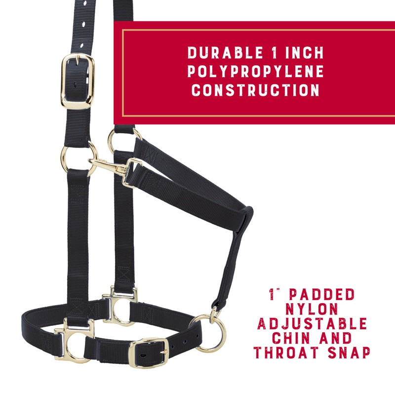 Weaver Leather Basic Adjustable Nylon Halter, Black, 1" Large Horse