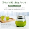 Delicious Japanese Tea Laboratory, Sencha Tea Bag, 0.1 oz (4
