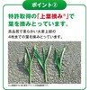 Inship Japanese Green Juice Seeds, 315 mg x 240 Tablets,
