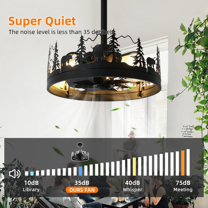 Rustic Ceiling Fans with Lights and Remote, Black Caged Ceiling