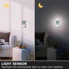 Chrobak LED Night Light,Green Tropical Leaves Palm Trees LED Night