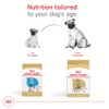 ROYAL CANIN, Puppy - Pug, Croquetas para Perro, 1.1kg