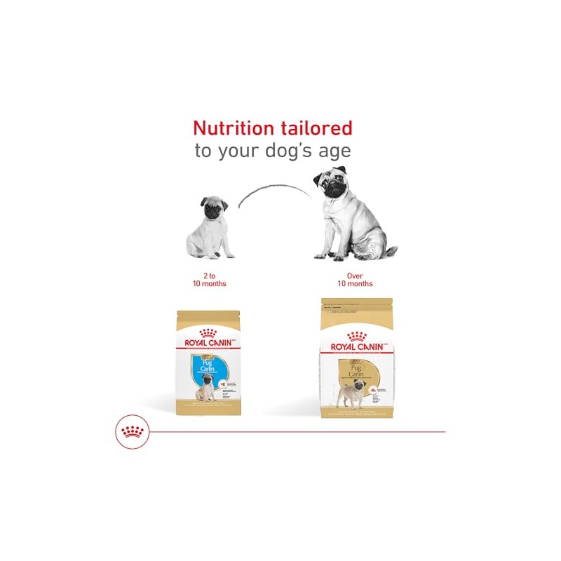 ROYAL CANIN, Puppy - Pug, Croquetas para Perro, 1.1kg