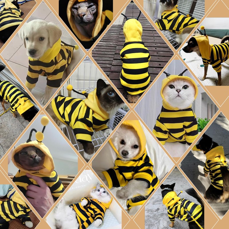 DENTRUN Sphynx Hairless Cats Costume Funny Bee Warm Winter Sweater