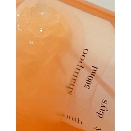 Perfume Care Shampoo De Breeze 500ml / 퍼퓸케어 샴푸 디 브리즈 500ml
