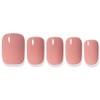 Dashing Diva Magic Press Dry Rose Nail Tip, 1 Piece, Dried Rose / 데싱디바 매직프레스 드라이 로즈 네일팁, 1개, 말린장미