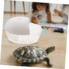 CIYODO Turtle Tank Basking Platform Practical Reptile Drying Habitat for