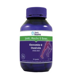 Blooms Glucosamine&Chondroitin 90Caps