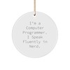 Computer Programmer Gifts from Friends - Funny Circle Ornament with